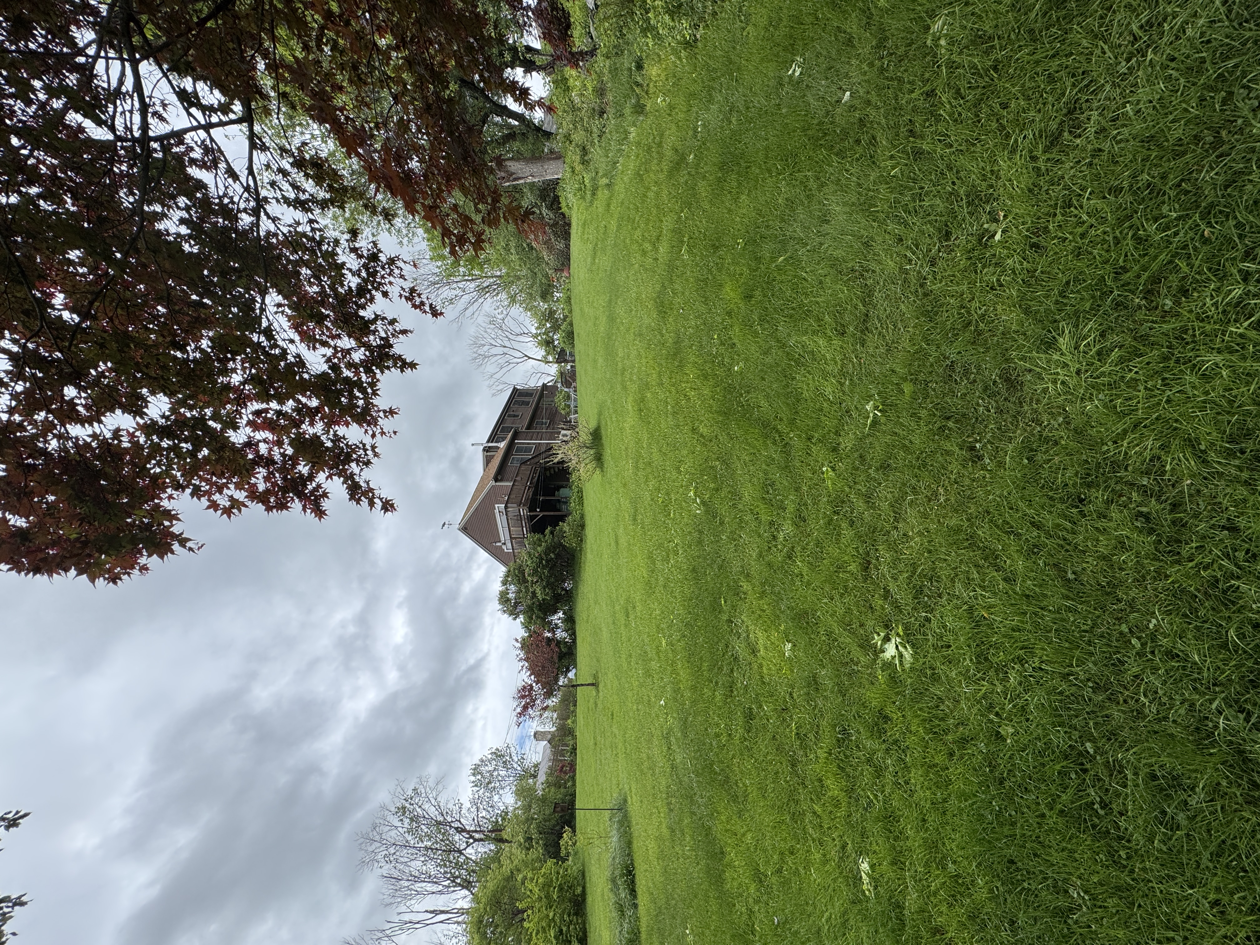 Established green lawn after a soil-first renovation by GSS — Seacoast NH