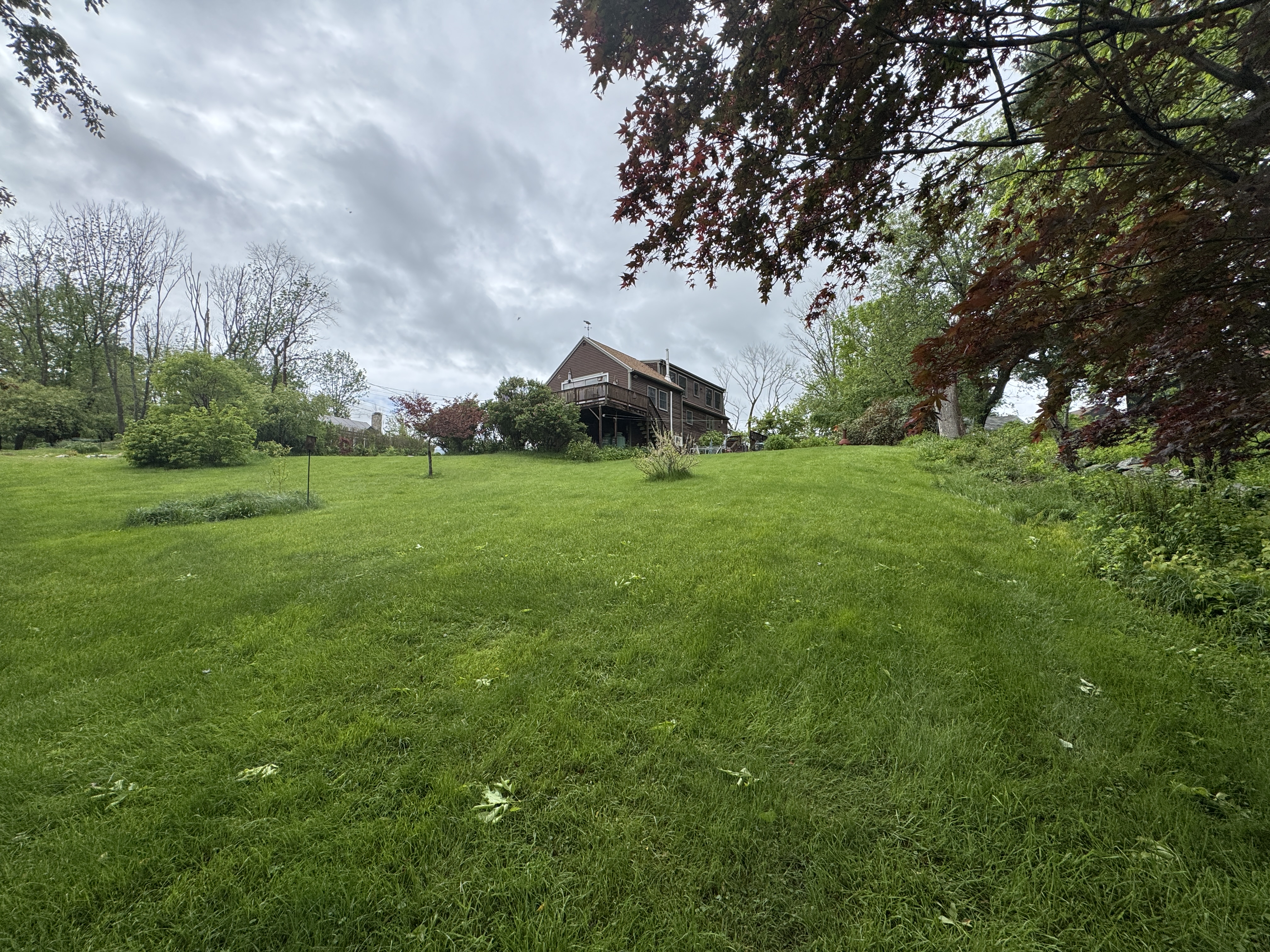 Established, lush green lawn after a GSS soil-first renovation — Seacoast NH