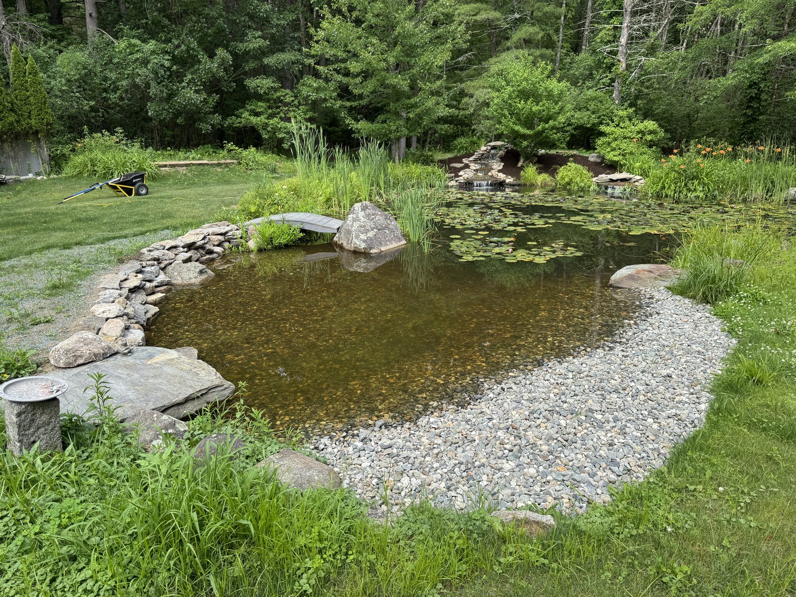 Renovated pond with a clean cobble beach edge and clear water, GSS Seacoast NH