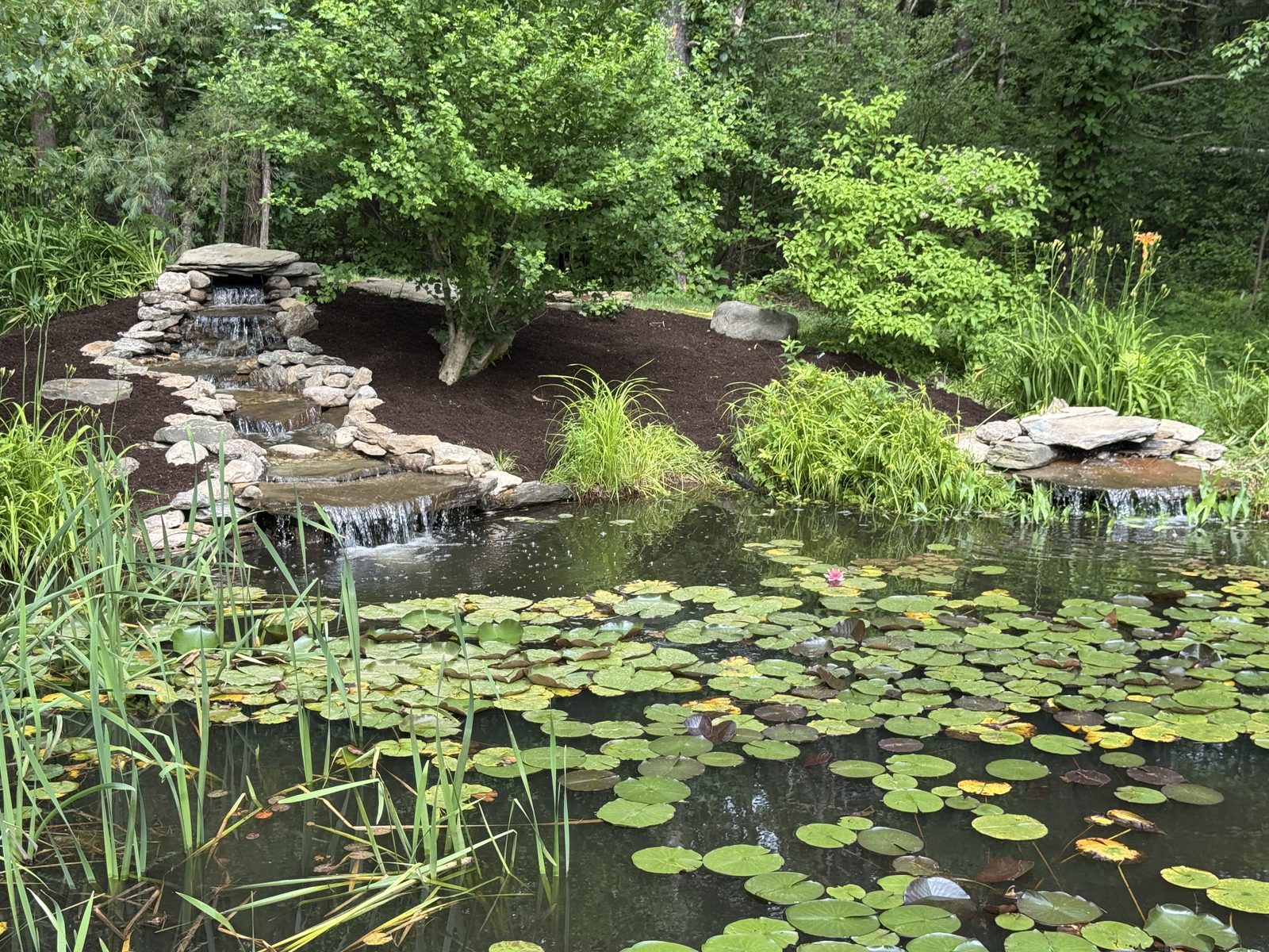 Finished pond with a stone waterfall, stream, and water lilies, GSS Seacoast NH